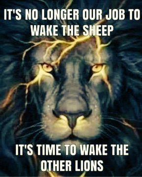 Gayezo1's tweet photo. @TeKanawa @lostinohio1 #VoteBlueFor
Democracy https://t.co/tmGx9DeLsh