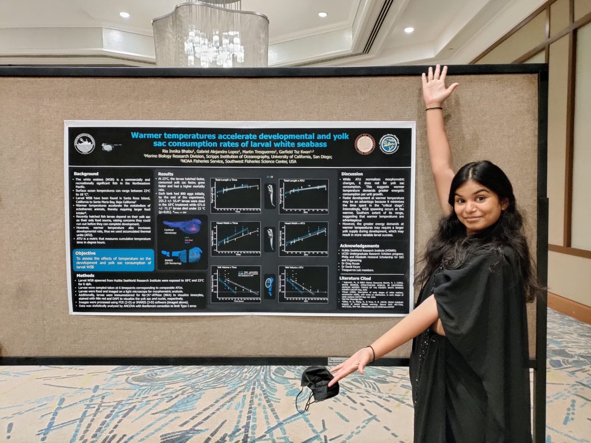 RiaBhabu's tweet image. Had a blast presenting my poster on warming temperatures and their effects on developmental and metabolic rates at #Comparative2022!!