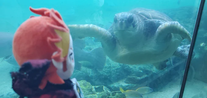 水族館!! 
