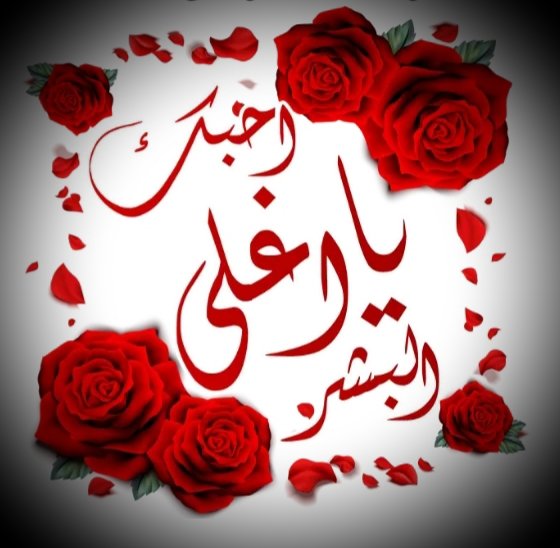 abdullahbs280's tweet photo. شربت الحب من كاسك...
وطعم الورد بأنفاسك...
��انك عذب باحساسك...
وانا مغرم بك وولهان...
حبيبي كان ماتدري...
ترى حبك بدى يسري...
بدمي وانت ياعمري...
سكنت بداخل الشريان...
قطعنا الحب ودروبه...
وصغنا روعة اسلوبه...
حكايه عشق مكتوبه...
وصرنا للهوى عنوان...❤ https://t.co/ZzkTFloM4v
