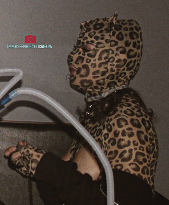 Go follow my camera page on Instagram 🙏 https://t.co/iQS3ggySBO<a href="/tag/newprofilepic"class="tags"><span>#newprofilepic</span></a>