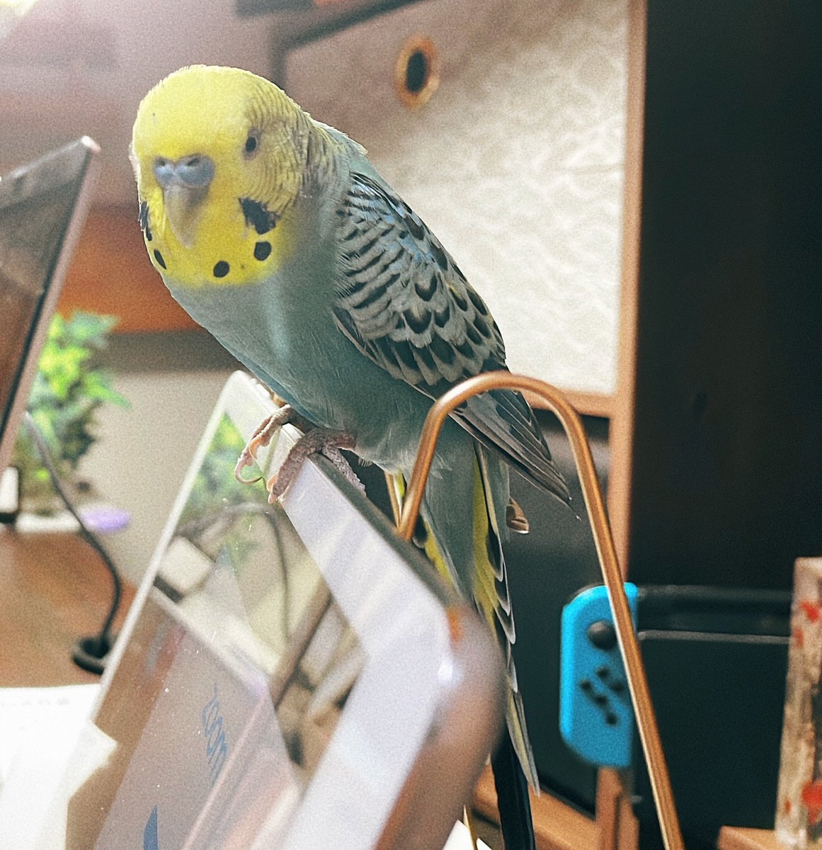 ⛰ (@v7nwGZMNCfnO35l) / Posts / X