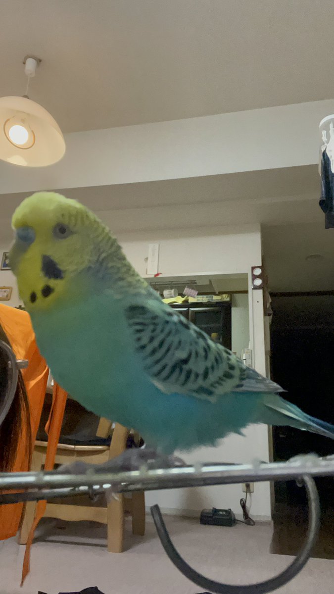 ⛰ (@v7nwGZMNCfnO35l) / Posts / X