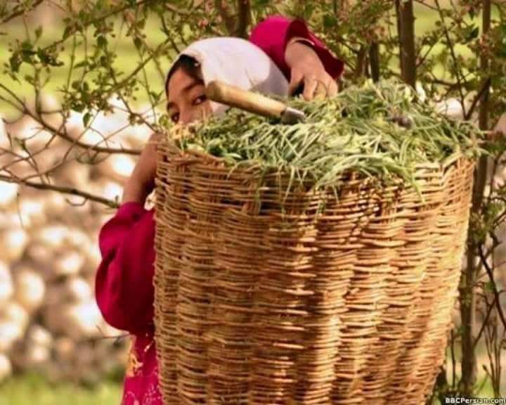 Hedayat400's tweet photo. به زیبایی سوگند که این‌نگاه زیباست. https://t.co/fzKmrRoY6h