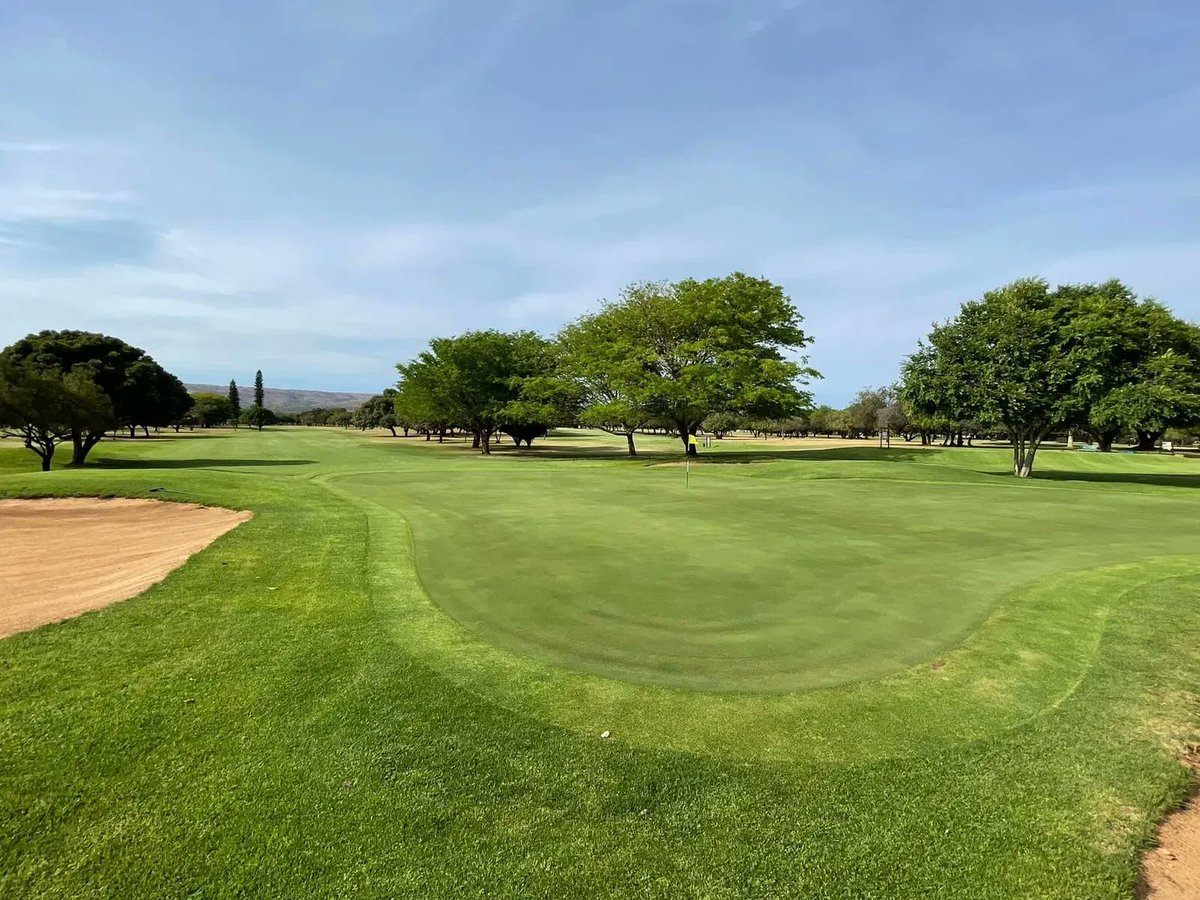 SyngentaTurfSA's tweet photo. The wonderful Mooi Nooi golf club,
#BannerMaxx #Daconil #Heritage #PrimoMaxx https://t.co/E9HfU762tU
