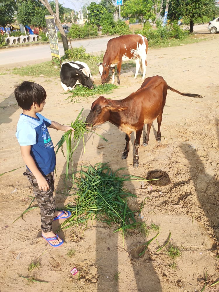 आज गोपाष्टमी पर करें गौ माता की सेवा, आप पर हो भगवान श्रीकृष्ण की कृपा, घर में आए सुख और समृद्धि, जीवन में निरंतर हो खुशियों में वृद्धि. #Gopashtami की हार्दिक शुभकामनाएं 🙏
#जयश्रीकृष्ण