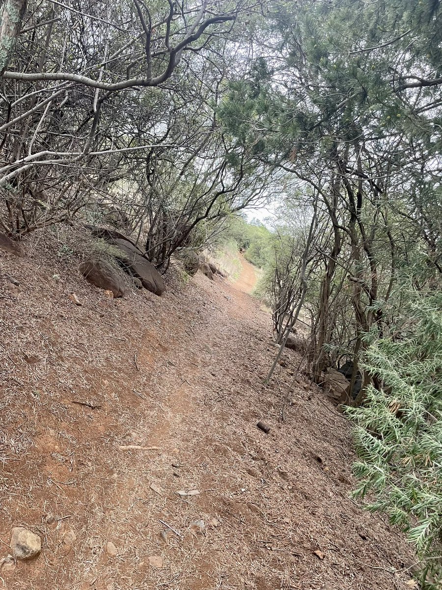 Grippa77's tweet image. 6k dash #Bloemfontein #run #trails with #MapMyRun #Earthathon #Runfree