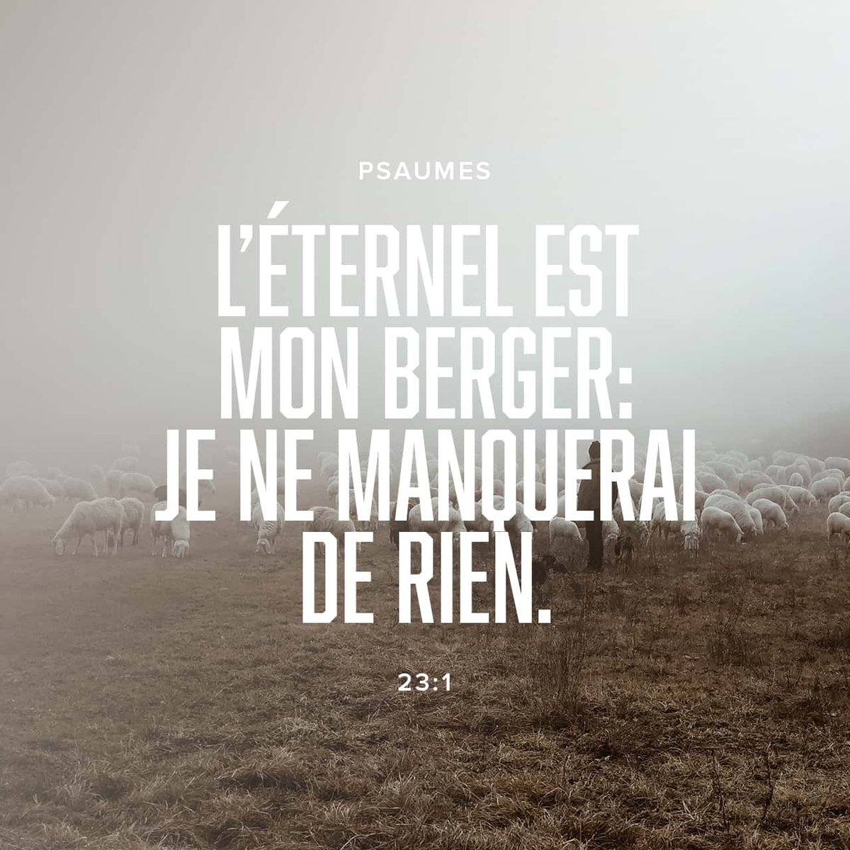 Cantique de David. L’Éternel est mon berger: je ne manquerai de rien. Il me fait reposer dans de verts pâturages, Il me dirige près des eaux paisibles.
Psaumes 23:1-2 LSG
bible.com/bible/93/psa.2…