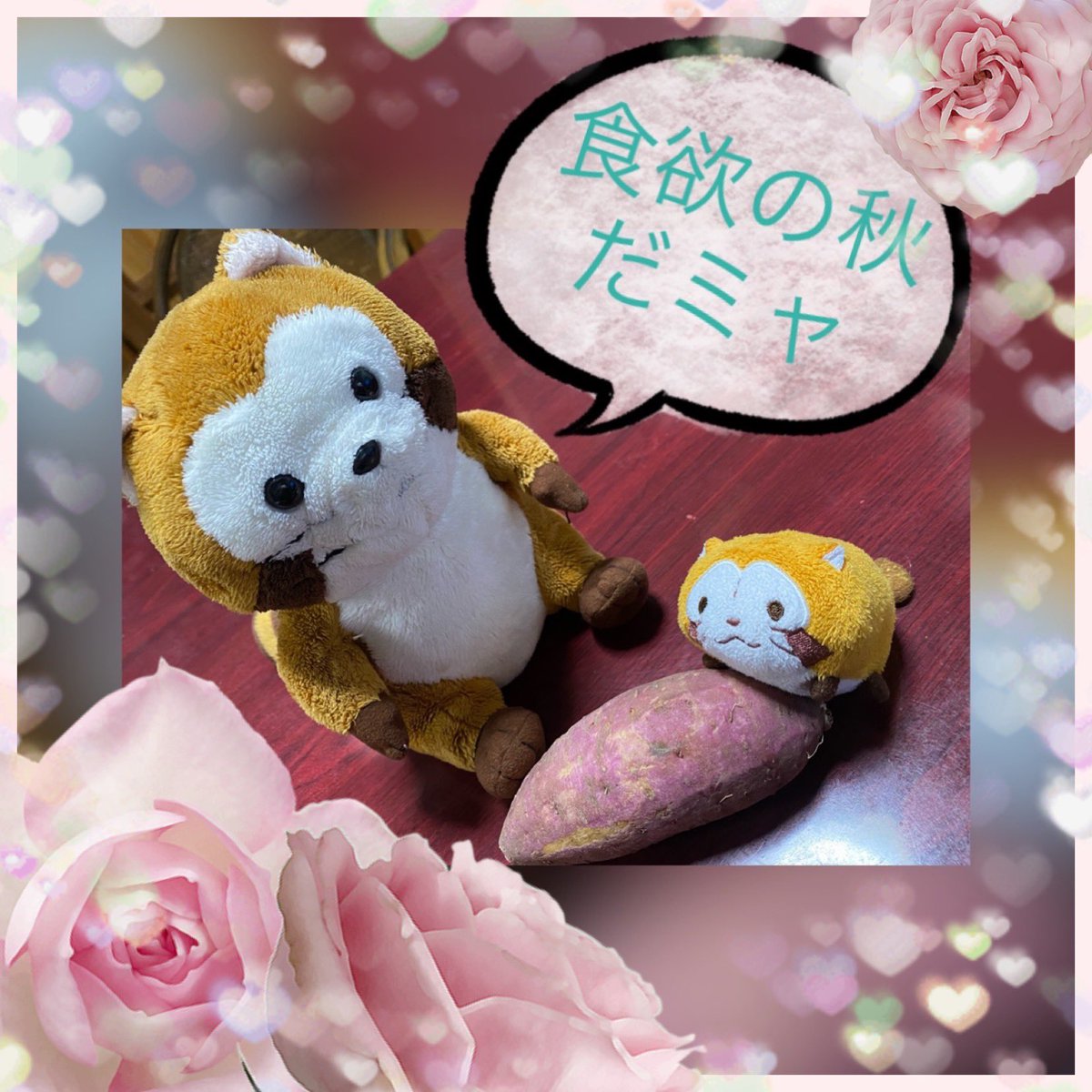 Rascal2011M's tweet image. ＃ラスカル ＃サツマイモ #食欲の秋