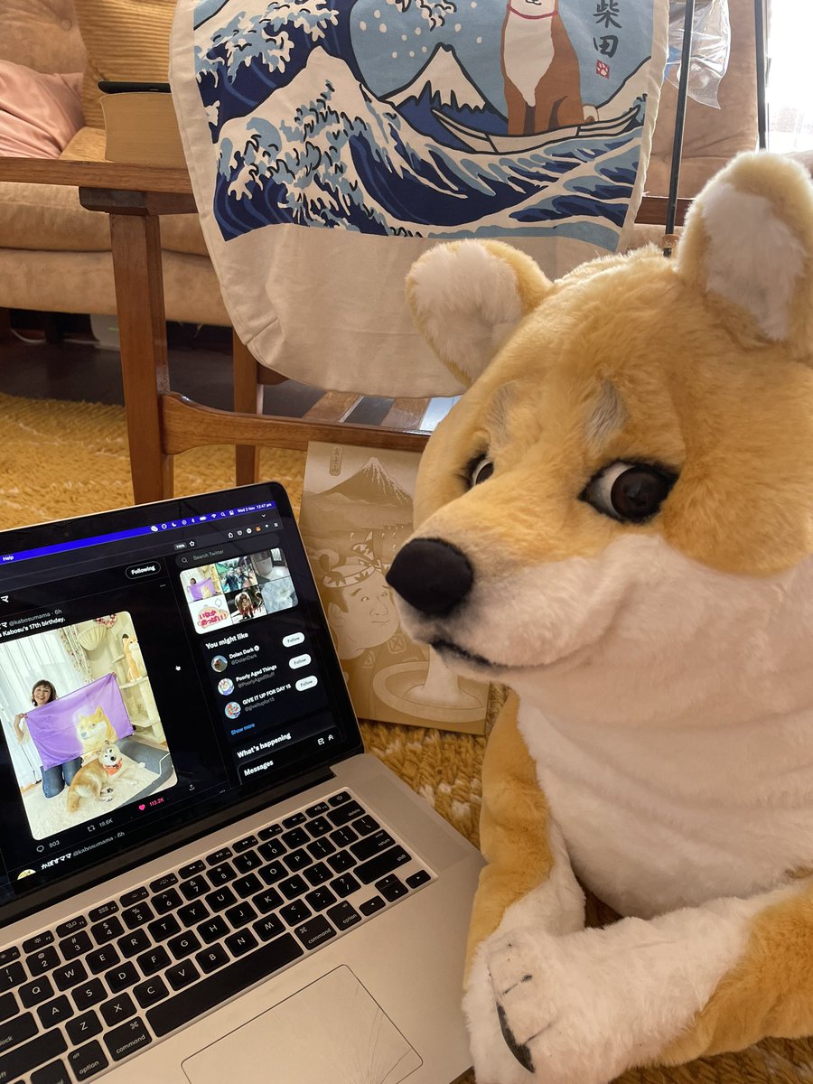 Happy birthday to Kabosu!
17 today!
We are happy to be in your extended family <a href="/kabosumama/">かぼすママ</a> <a href="/ownthedoge/">Own The Doge 🐶🖼</a> <a href="/DogecoinFdn/">Dogecoin Foundation</a> <a href="/MyNameIsNiche/">NicheReference</a>