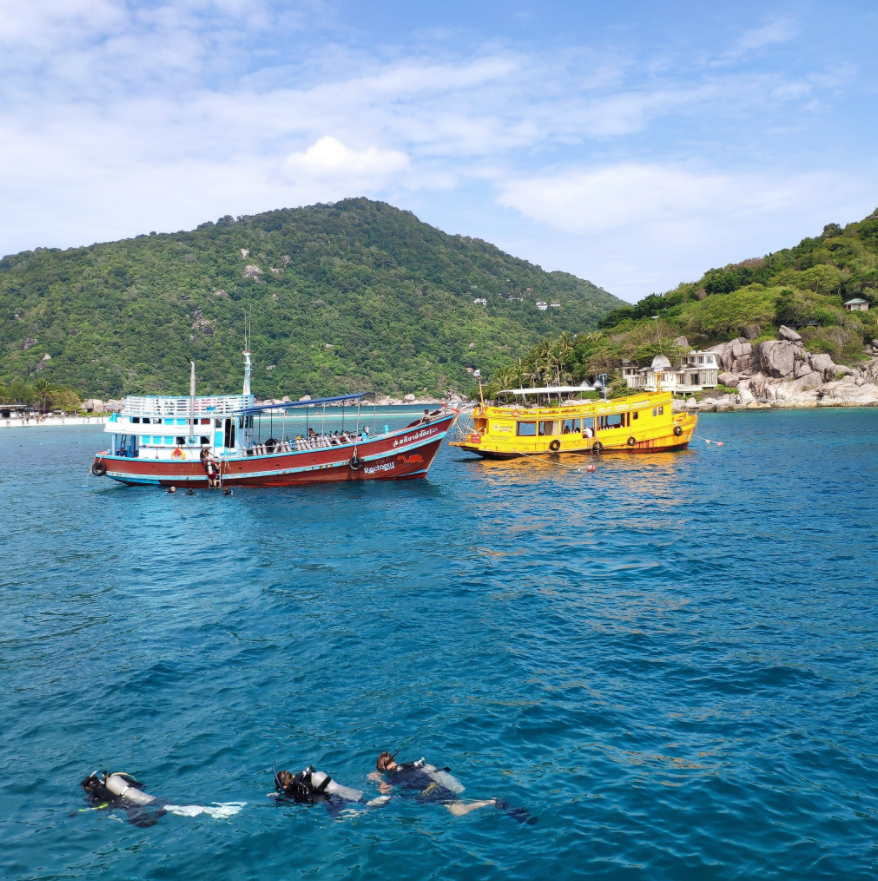 CryptoGo tweet media