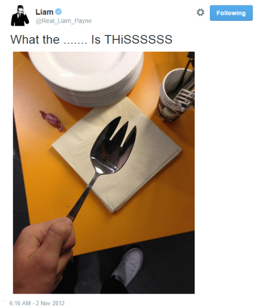 todays1dhistory's tweet photo. Today (November 2) in 2012 - Liam is absolutely horrified to discover the existence of sporks 😂😂💗 https://t.co/DEYesElBQZ
