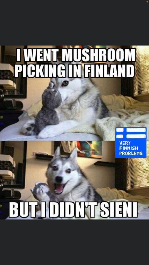 Kaj Kunnas tweet media