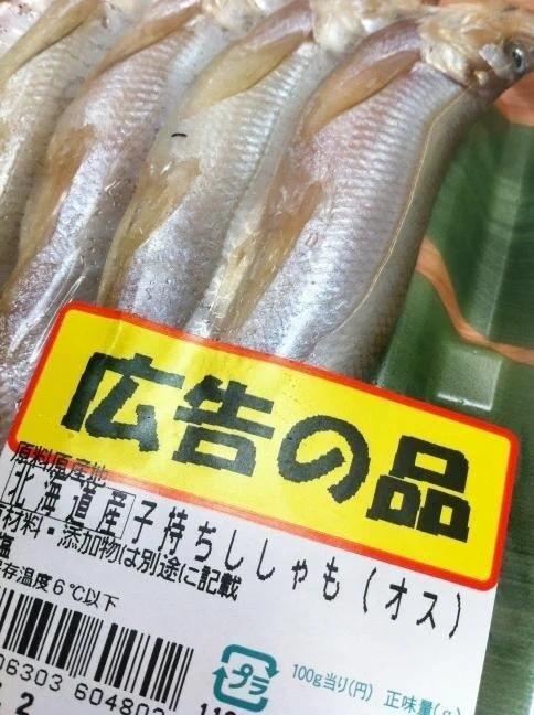 子持ちなのにオス！？ジェンダーレスなシシャモ、見つかる