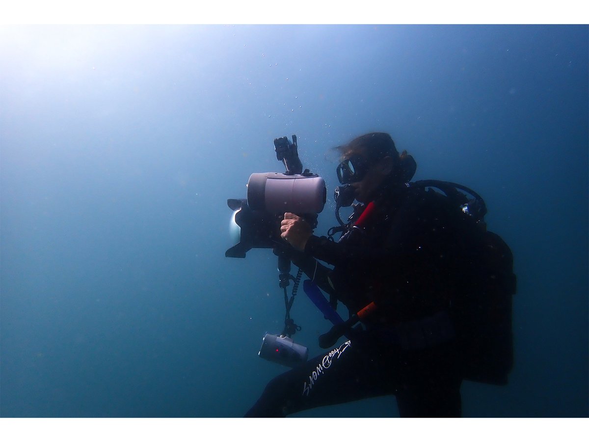 SharkWiseMarine's tweet photo. Nicolene Olckers from @DiversAlert gave insights into #decompressionsickness & #divingaccidents and why diving insurance is essential.🚑 As a professional #photographer, she was also kind enough to show us her underwater light solutions and how this increases the photo quality.📸 https://t.co/FnPGAdnRiJ