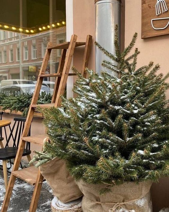 etherealdior's tweet photo. never too early for holiday cheer https://t.co/B5YxNHcrix