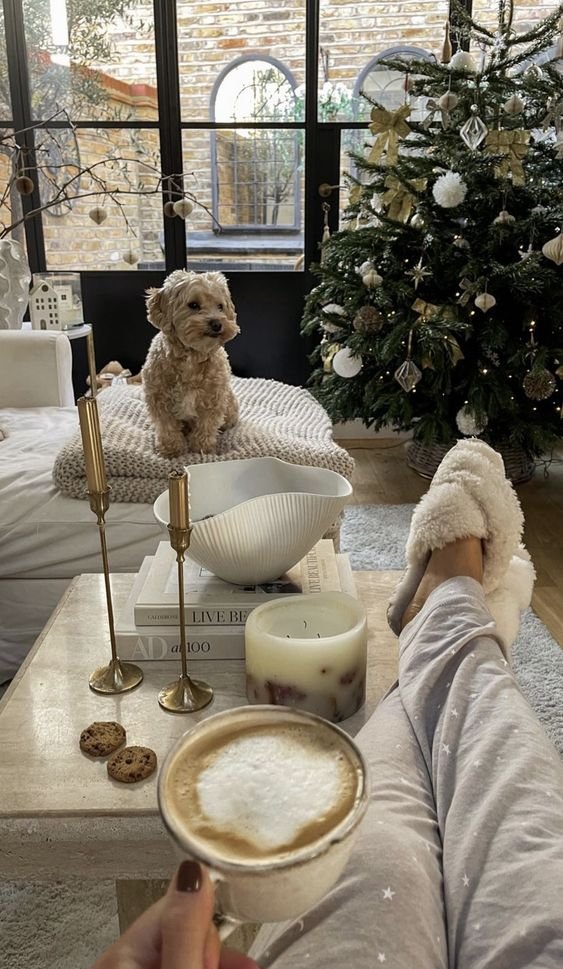 etherealdior's tweet photo. never too early for holiday cheer https://t.co/B5YxNHcrix