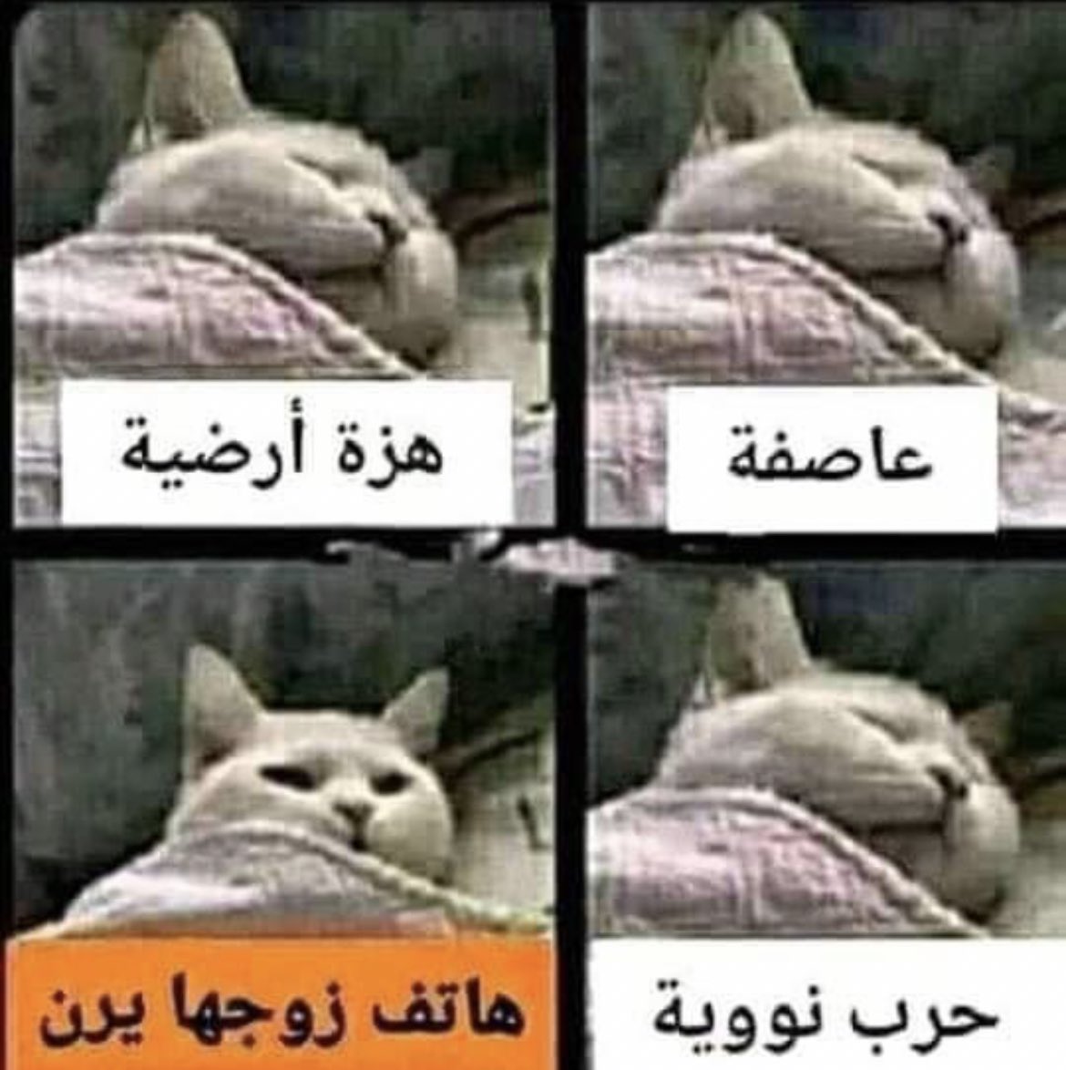 Fadi Kfoury (@kfoury_fadi_12) / Twitter