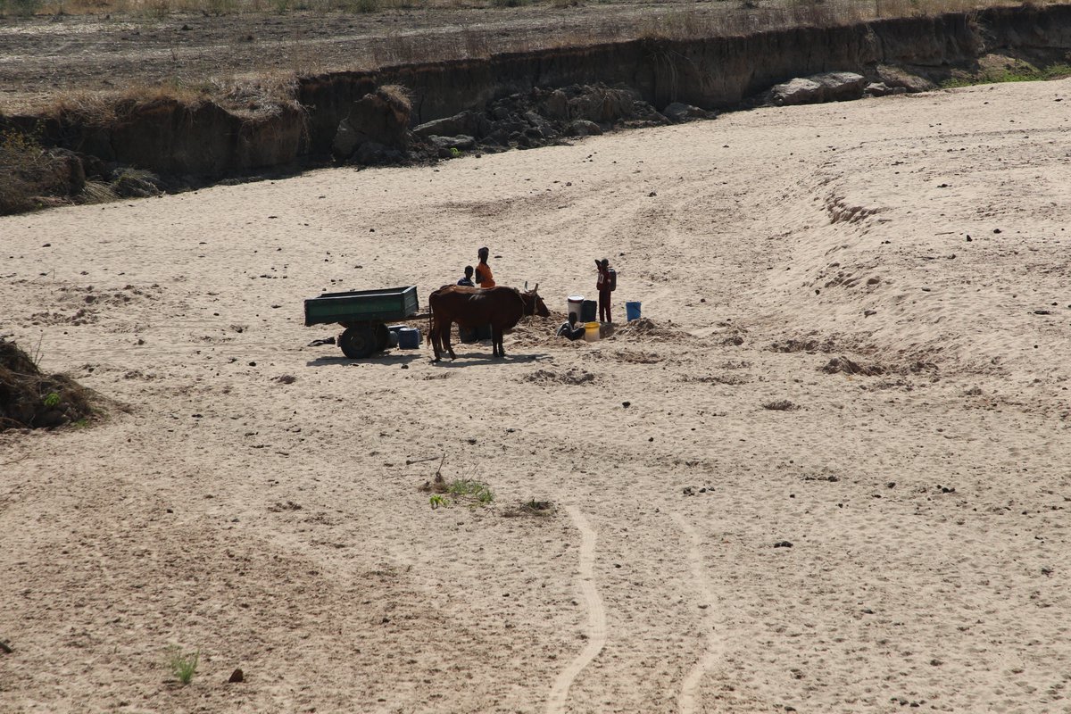 🔴INFORMATION is key in strengthening communities’ resilience against natural and man-made shocks.newsday.co.zw/agriculture/ar…