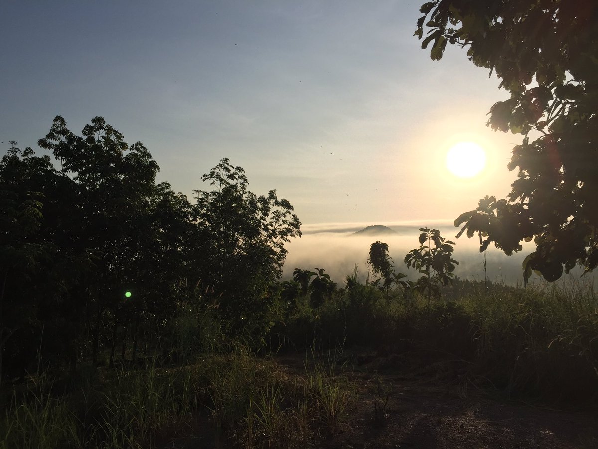 4WD_Shop's tweet image. บรรยากาส เริ่มเย็น หมอกก็เริ่มลง #น่าน