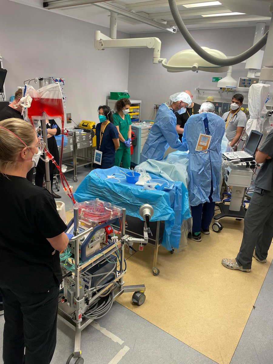 Luke Phillips (@lukemphillips) on Twitter photo Fantastic Inter-professional simulation Practicing our E-CPR skills with our <a href="/intensiveblog/">INTENSIVE - The Alfred ICU</a> colleagues as part of our Synergy in-situ simulation program @emergedu <a href="/AlfredHealth/">The Alfred</a> Some Great ECMO resources here including our awesome role cards - ecmo.icu Fantastic Inter-professional simulation Practicing our E-CPR skills with our <a href="/intensiveblog/">INTENSIVE - The Alfred ICU</a> colleagues as part of our Synergy in-situ simulation program @emergedu <a href="/AlfredHealth/">The Alfred</a> Some Great ECMO resources here including our awesome role cards - ecmo.icu