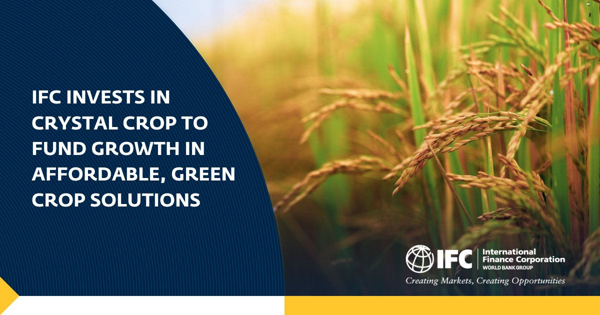 IFC_AsiaPacific's tweet photo. 📢#News just in!

@IFC_org’s investment in @CrystalCrop1 will help set up a robust infrastructure for #sustainable production of crop solutions, benefiting millions of Indian farmers🧑🏽‍🌾.

Read more: https://t.co/PrF0Av6Uct https://t.co/66S1psiQUa