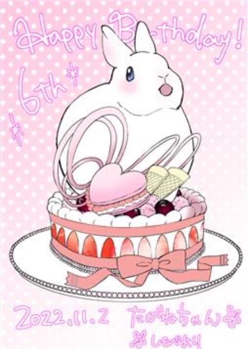  たがねちゃん6歳のお誕生日おめでとうございます元気で可愛い1年を過ごせますように 