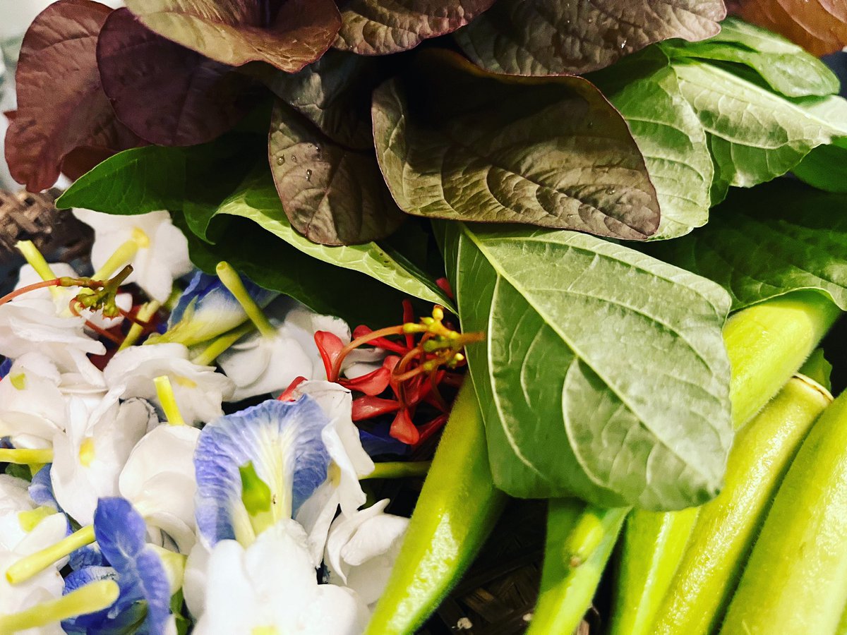 TheMagicBean4's tweet photo. Colours of my harvest this morning. 

#localandseasonal #coloursofnature #urbangardener #terracegardening https://t.co/Ct14gnrSUL