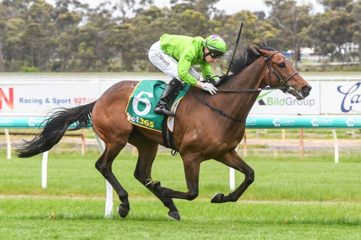 Craig Newitt with back-to-back Kyneton Cup wins! 🏆

Newitt rode Station One to lead the entire way in Race 7 at Apiam Bendigo. 🏇

Congratulations <a href="/HowleyRacing/">Liam Howley Racing</a> &amp; all connections 👏🥳

📸: <a href="/Racing__Photos/">Racing Photos</a>

#StrongerTogether #CountryRacing #CountryCups #CRV <a href="/KynetonHRock/">KHRRC</a>