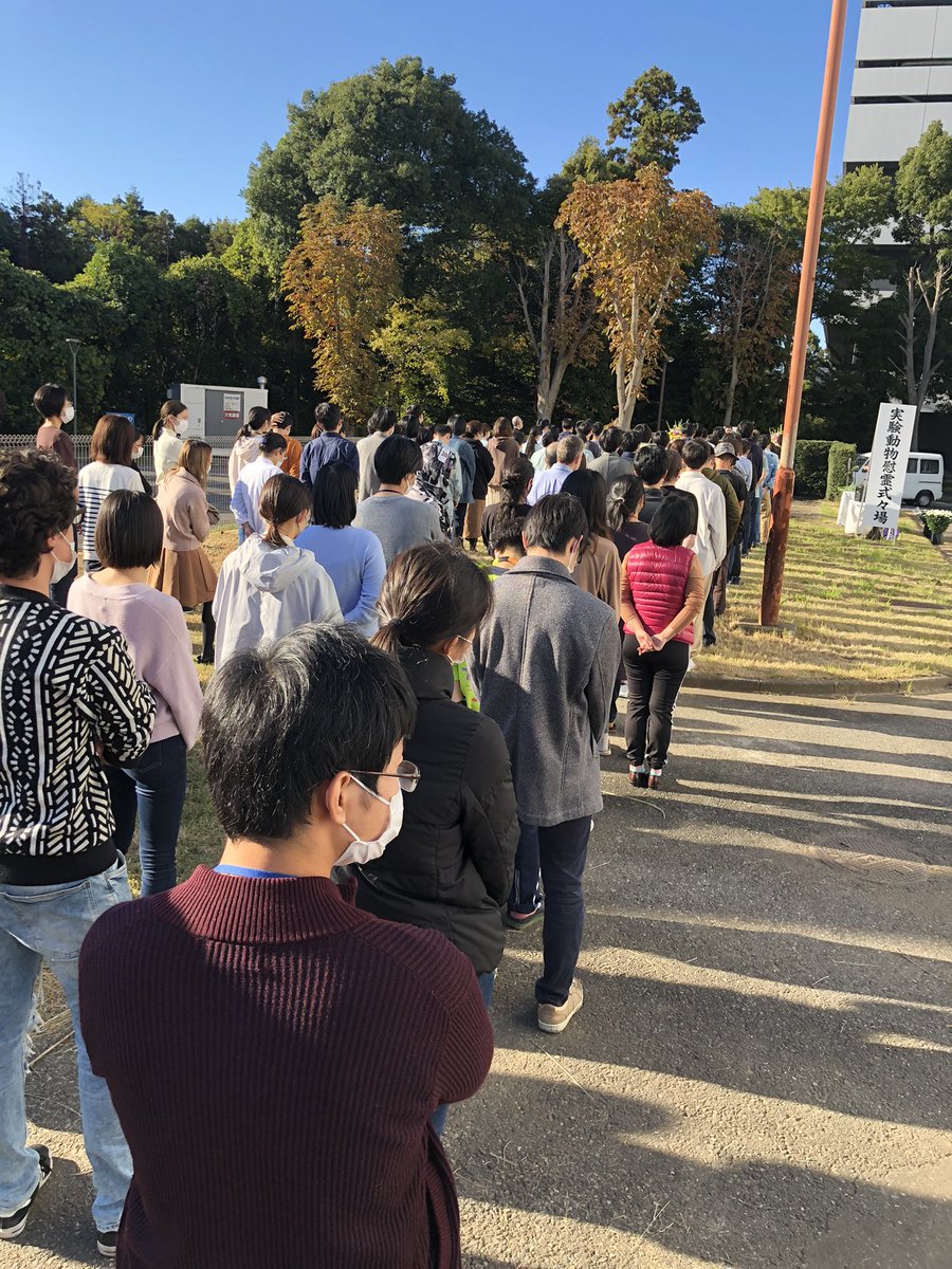 Not something you get to experience on every university visit: My visit to Tsukuba University coincides with the annual ceremony to console the soul of experimental animals. Everyone lined up will place a flower and bow to honour the animals.