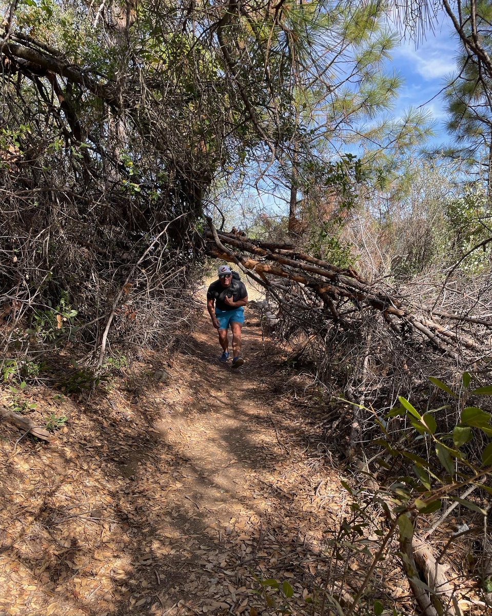 AMaddenGCC's tweet photo. Beautiful day for a hike led by our Tourism, Fitness and Recreation students! #auburnrecreationarea #stayfit #tourism #loveteachguide @gcc_charters #cte https://t.co/zQ578I5P0N
