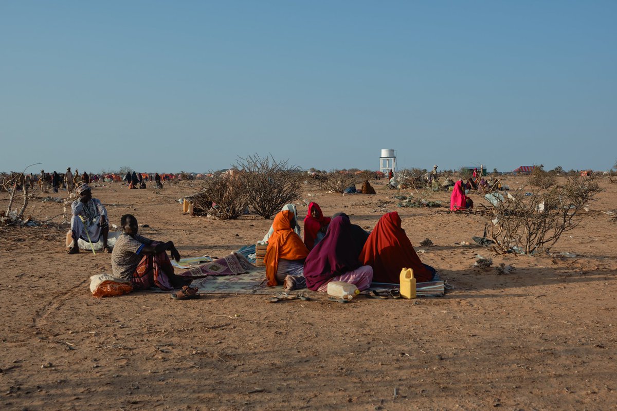 CelestinFranz's tweet photo. With the world´s attention on #COP27, it is imperative for governments to strengthen commitments to address the dire impacts of climate change.
 
Somalia is experiencing its worst drought in decades, forcing millions to leave their homes. Actions must not be delayed. https://t.co/vKKilTMD8m