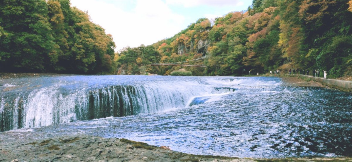 路上の傘☆ tweet media