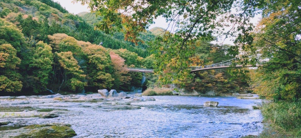 路上の傘☆ tweet media