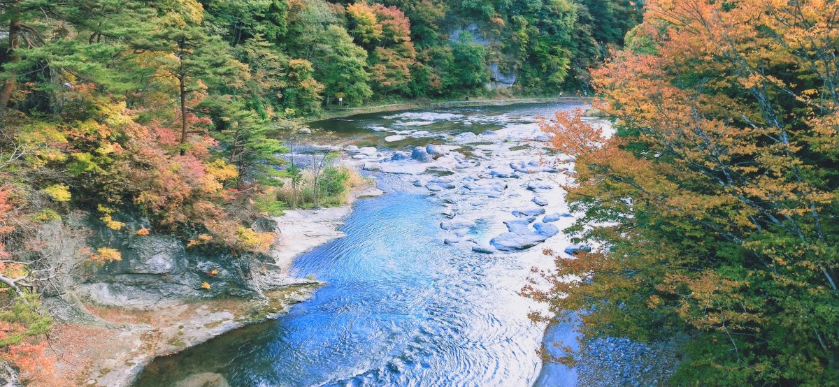 路上の傘☆ tweet media