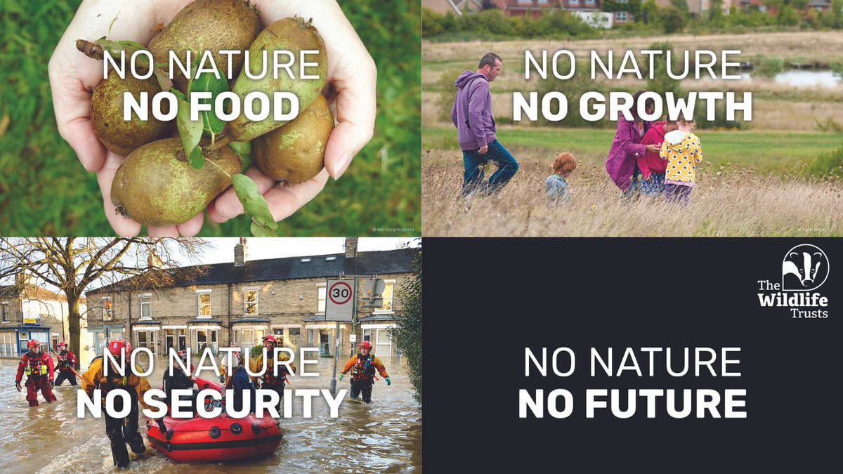 The Wildlife Trusts tweet media