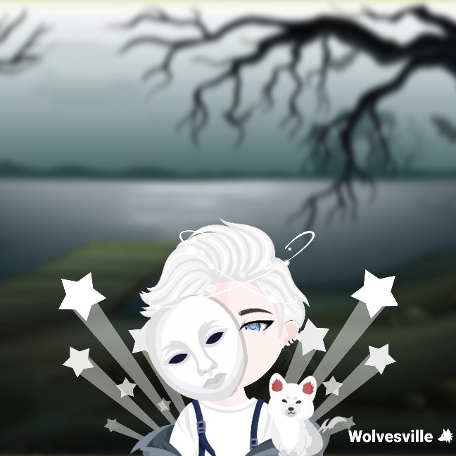 fatcat tweet media