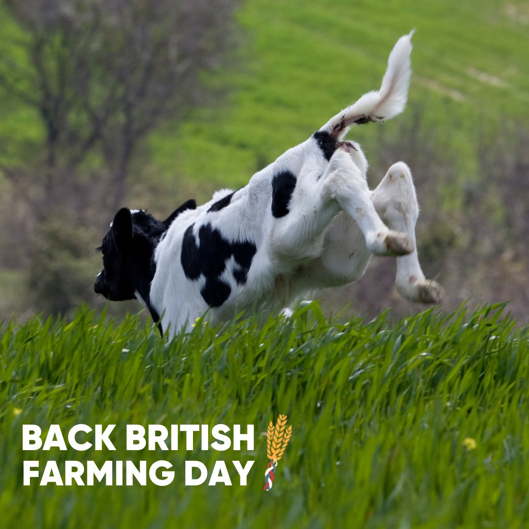 nfunorth's tweet photo. Seemingly we are not the only ones excited that it’s finally #BackBritishFarmingDay🎉 

We can't wait to reveal who our North East Community Farming Hero is, so stay tuned for the announcement at 10.00.

In the meantime make sure you're part of the day 🤩 https://t.co/BVA59Pt6zs https://t.co/hvK07mf9VO