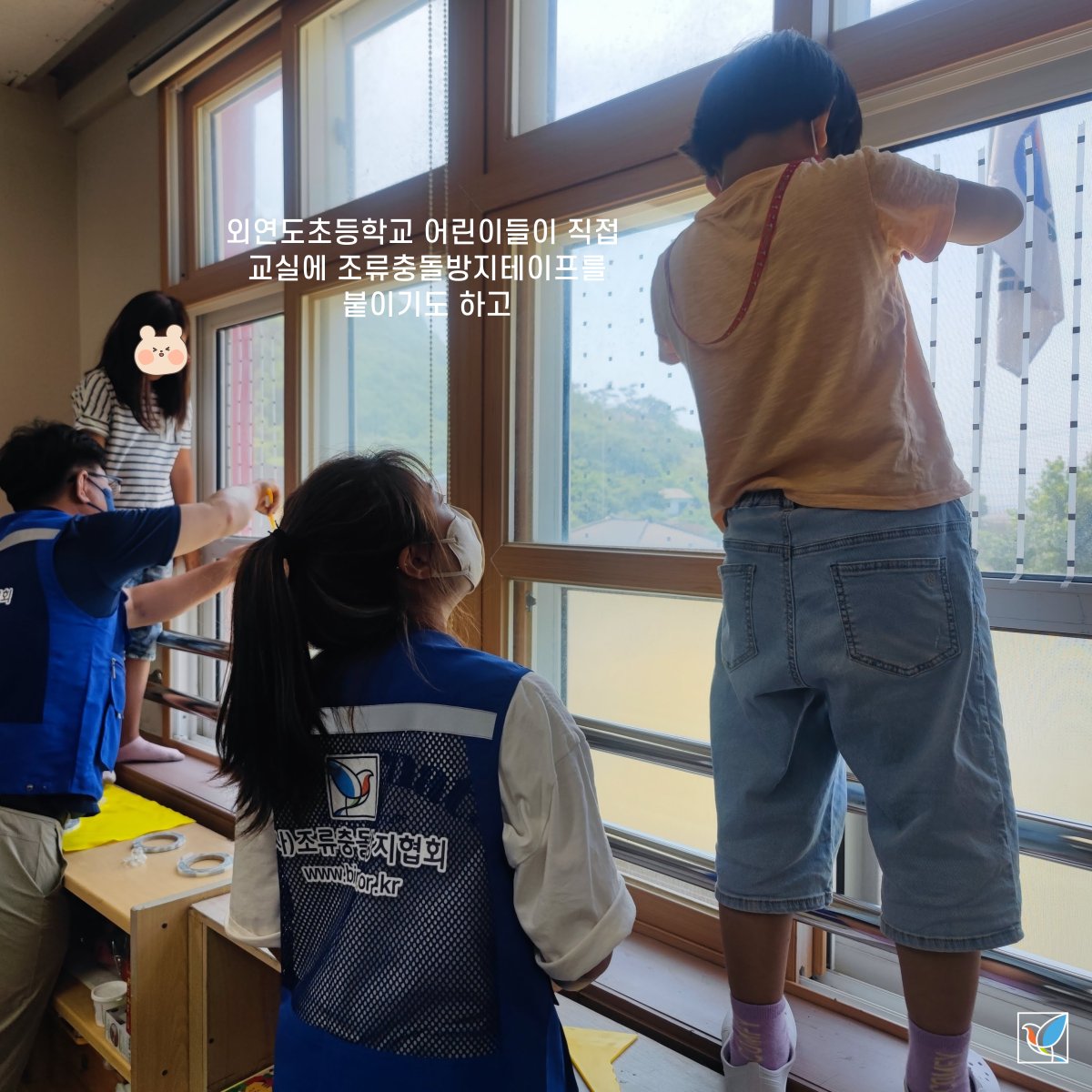 bcpakorea's tweet photo. 충청남도의 유인도 중에 가장 깊은 곳에 있는 외연도!
철새들이 많이 지나가는 섬의 외연도초등학교에서
조류충돌방지를 위한 뜻 깊은 시간을 보냈습니다 ^.^
#조류충돌 #봉사활동 #birds #세이브버즈 #SaveBirdsTogether #SavebirdsKR https://t.co/bNU1bAsKEV