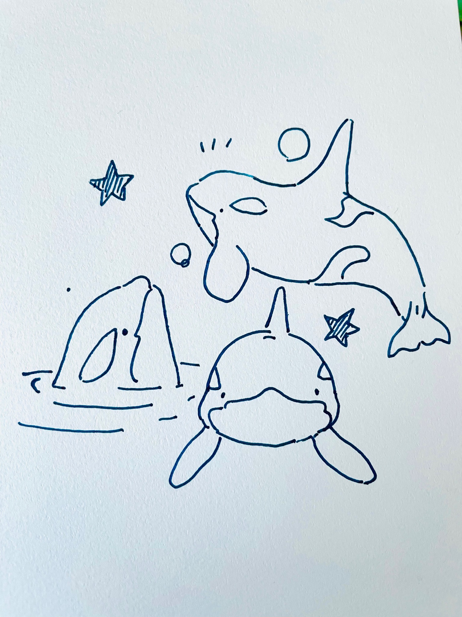 まつおるか ボールペンで簡単なイラスト シャチ編 T Co Gjoa3gmufn Twitter