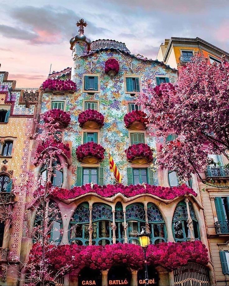 Alchemist900's tweet photo. Happy Wednesday ❤️🌈 https://t.co/fgX76UwJN3
