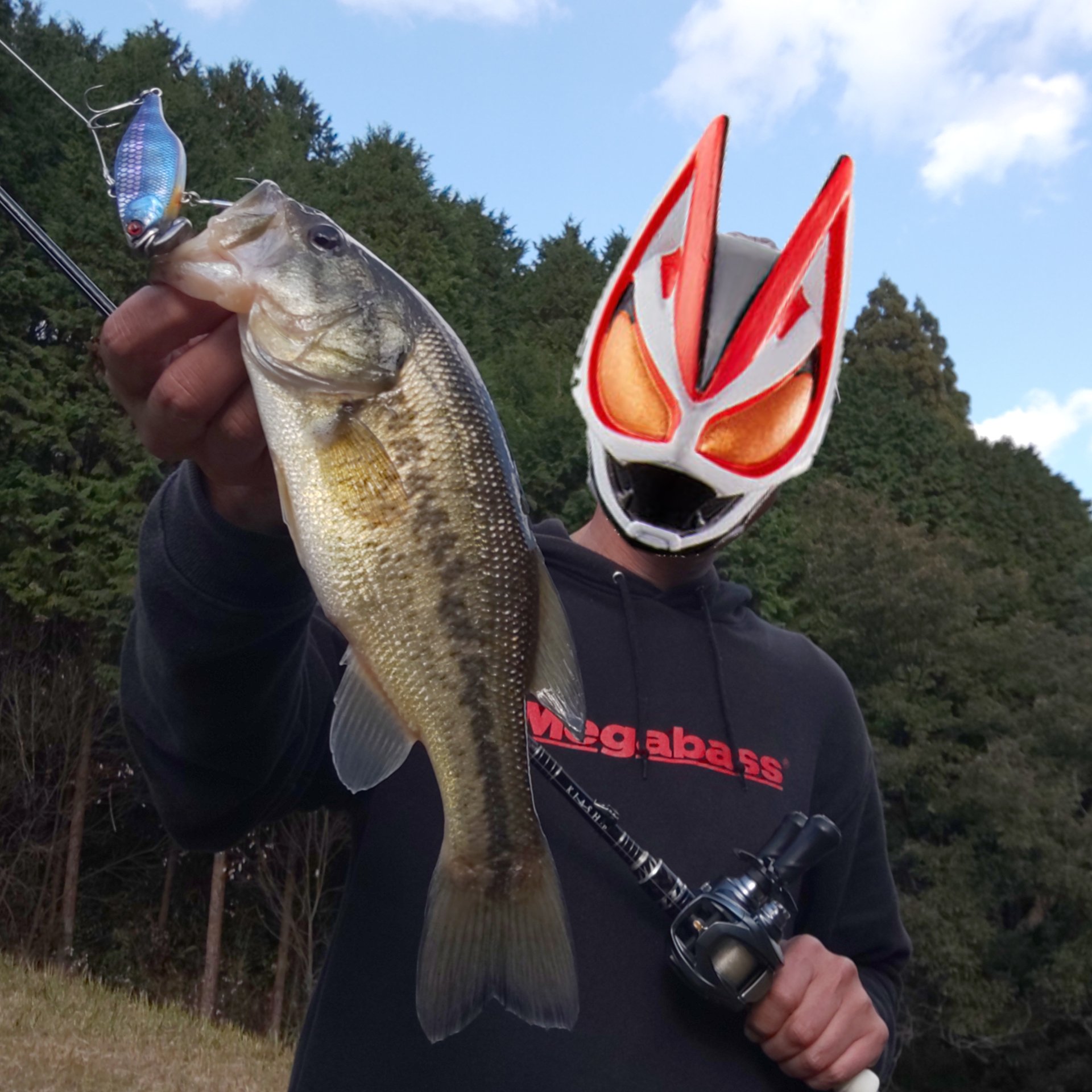 烏賊人 Ikatamu Twitter