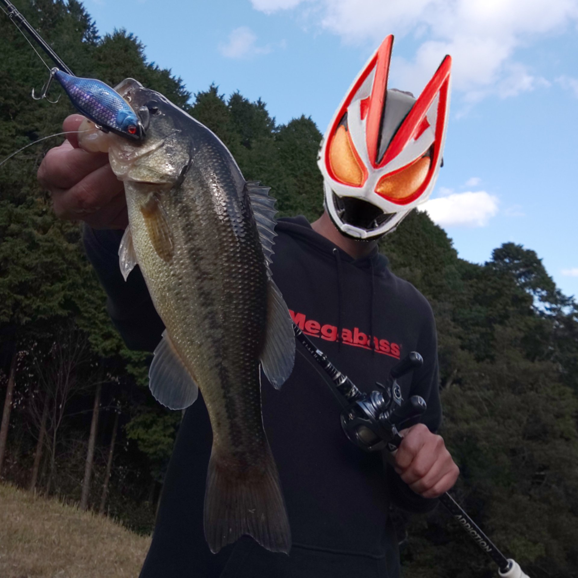 烏賊人 Ikatamu Twitter