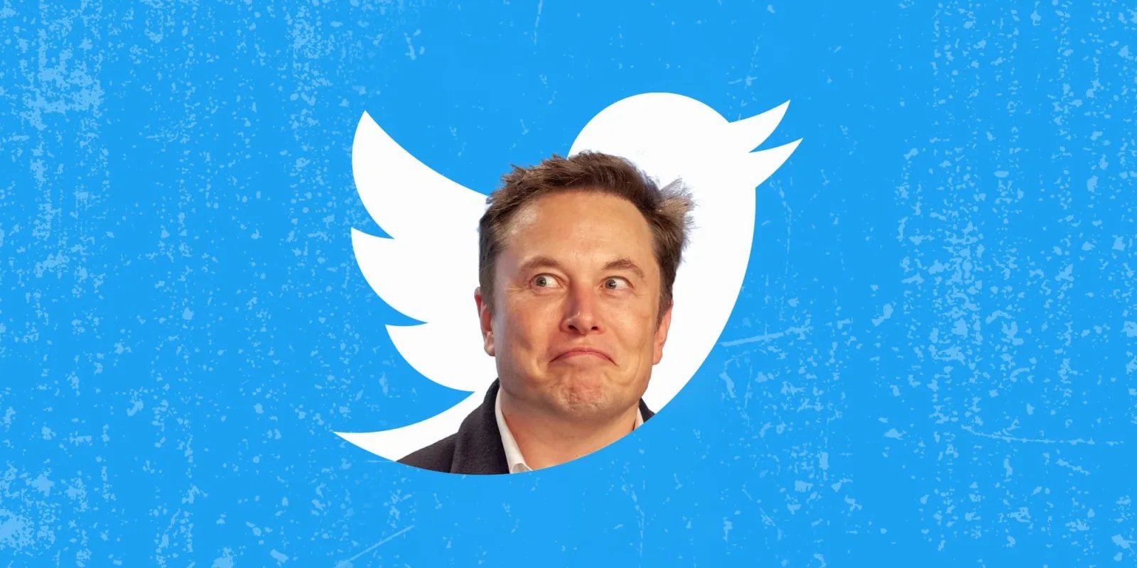 CoinStats on Twitter "Elon Musk has changed Twitter like button from ️