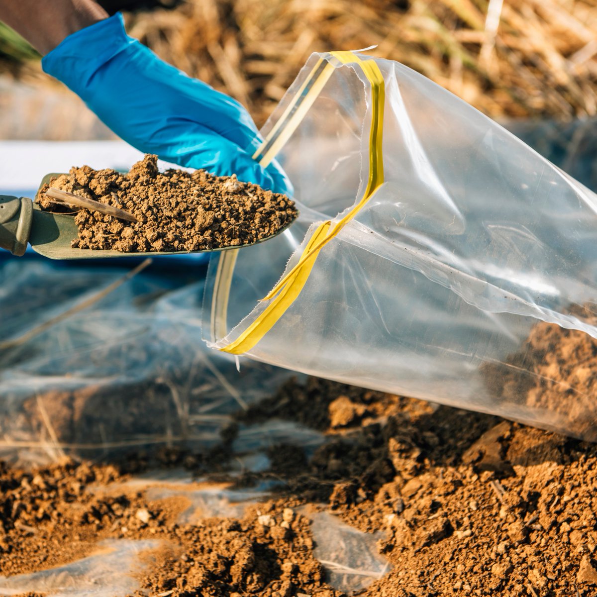 ChemCentre's tweet photo. Dead plant society member or green thumb? Get to know your soil – bring your soil sample to ChemCentre Open Day this Saturday 5 November for testing. It’s free!
https://t.co/bvcHwAONmq
#chemcentre #chemcentreopenday #perthisok #perthscience #whatsonperth #perthstem https://t.co/TPhxNfuV9t