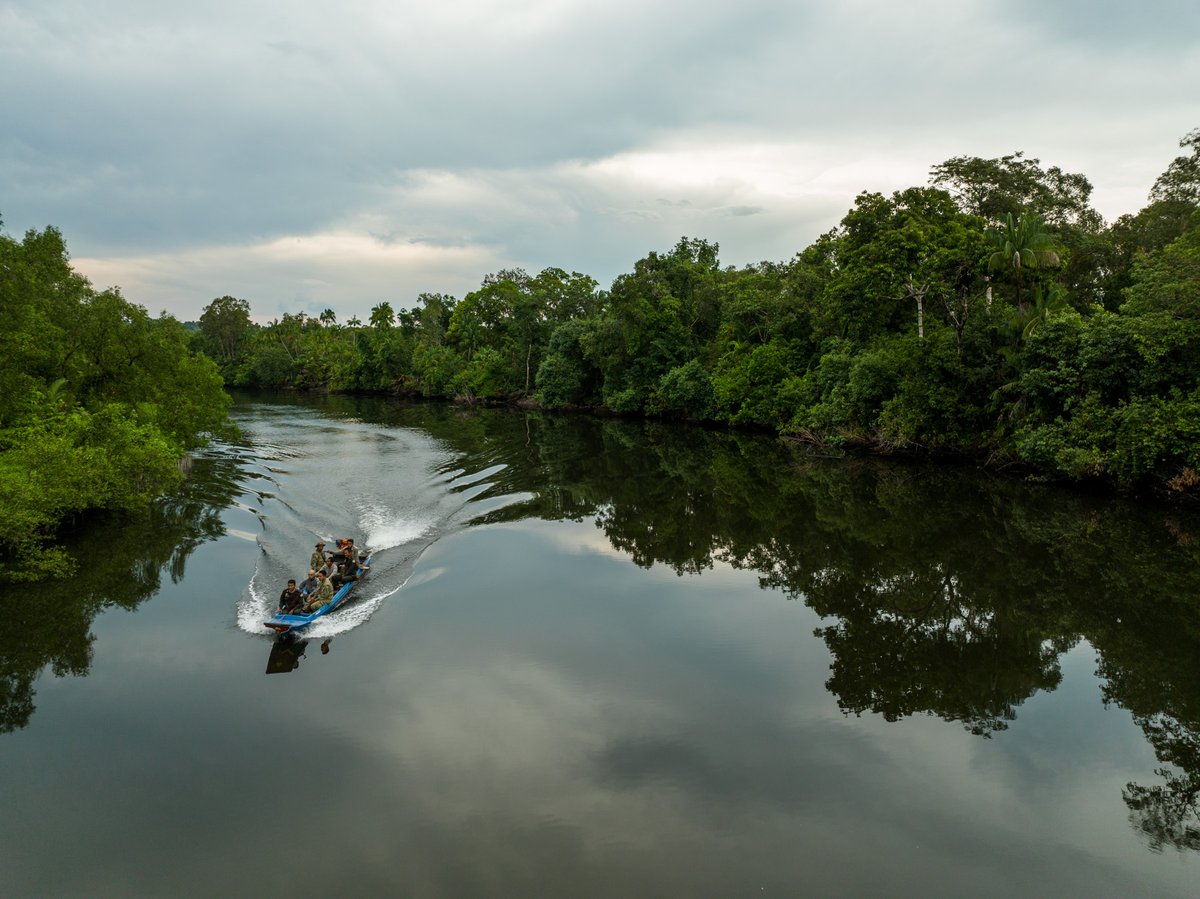 dr_suwanna's tweet photo. Hard working Wildlife Alliance’s rangers tasked with protecting one of the last remaining large rainforests in Southeast Asia
#JoinTheAlliance #WildlifeAlliance #reforestation #offirestation #timeforaction #cimateaction #cliamtechange #conservationoptimism https://t.co/jJKxfMovS7