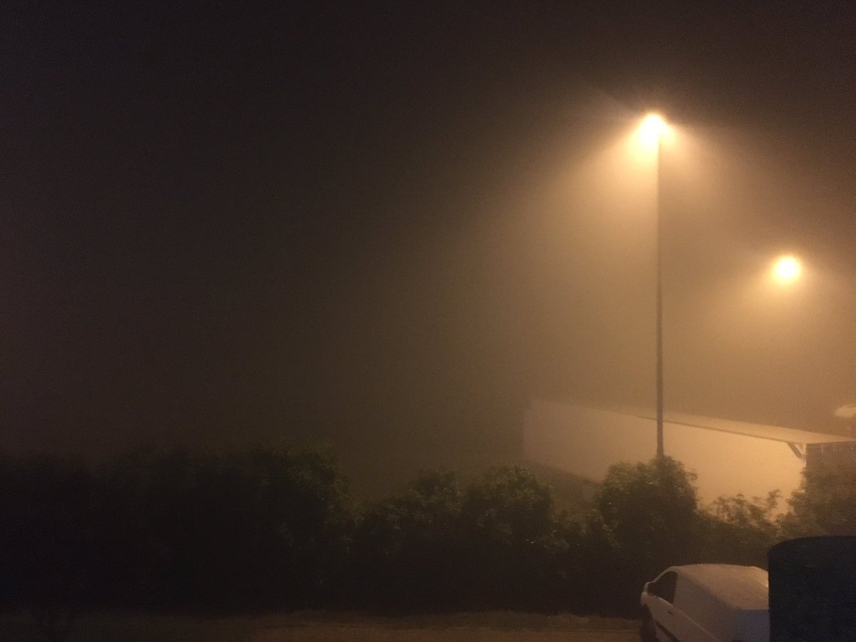 Lion__76's tweet photo. Ieri sono tornato a piedi dal ristorante e già c era la nebbia umidissima ... stamattina splende il sole..... scherzo ovviamente 
Buongiorno 😎 https://t.co/eGxJfHto4P