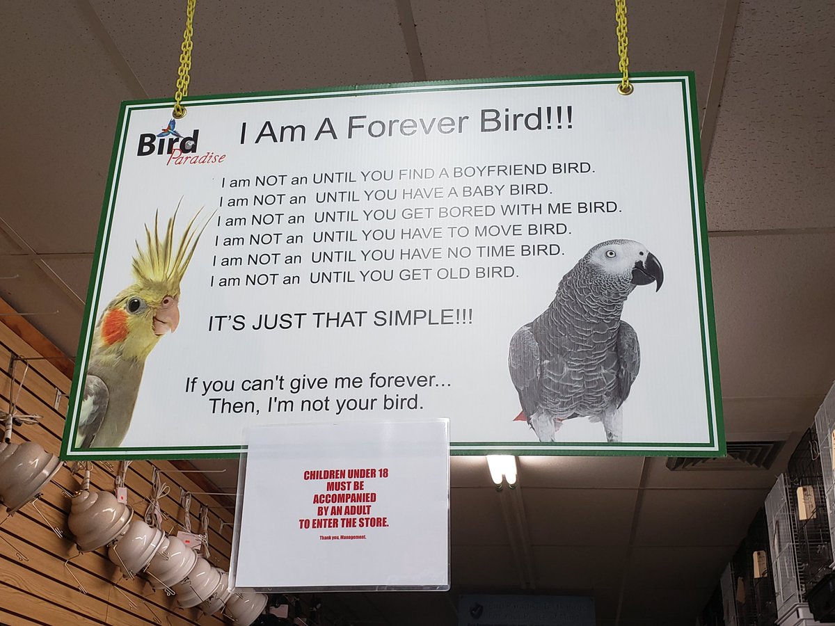 Ein wichtiges Schild:

Ich bin ein "Für immer"-Vogel!
Kein "Bis du einen Partner hast"-Vogel
Kein "Bis ihr ein Baby habt"-Vogel
Kein "Bis ich dich langweile"-Vogel
[..]
Wenn du mir kein "Für immer" geben kannst, dann bin ich nicht dein Vogel.