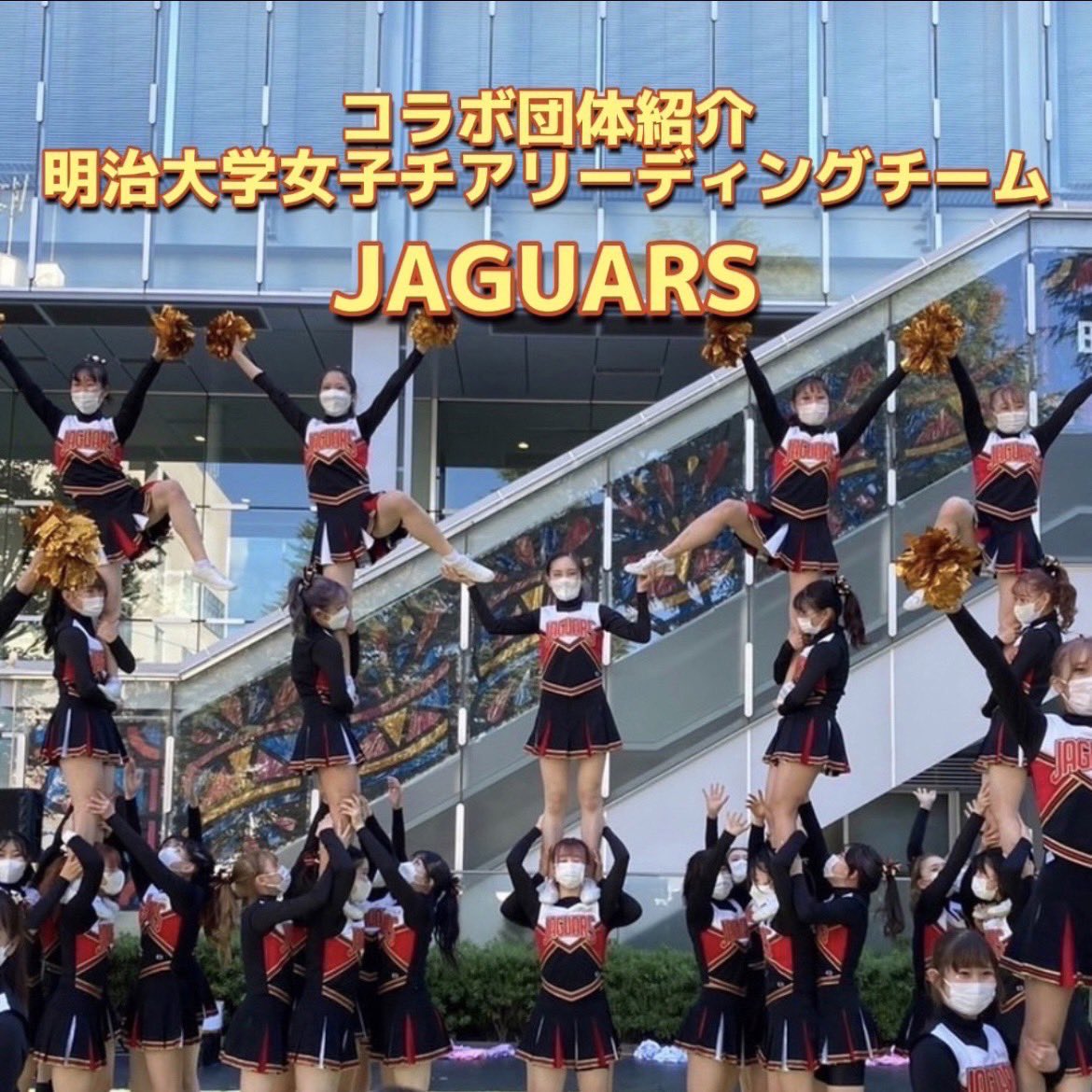 anchors_meiji's tweet photo. 【単独公演コラボ紹介💃】
今年はANCHORSの単独公演に、
なんと！
明治大学体同連チアリーディングチームJAGUARSさんに登場して、コラボ演技を披露させて頂くことが決定しました🥳
明大祭で披露したコラボが、単独公演でも見られちゃうんです🥹
【JAGUARSさんからコメントを頂いています！】 https://t.co/NZyZFtm8Ug