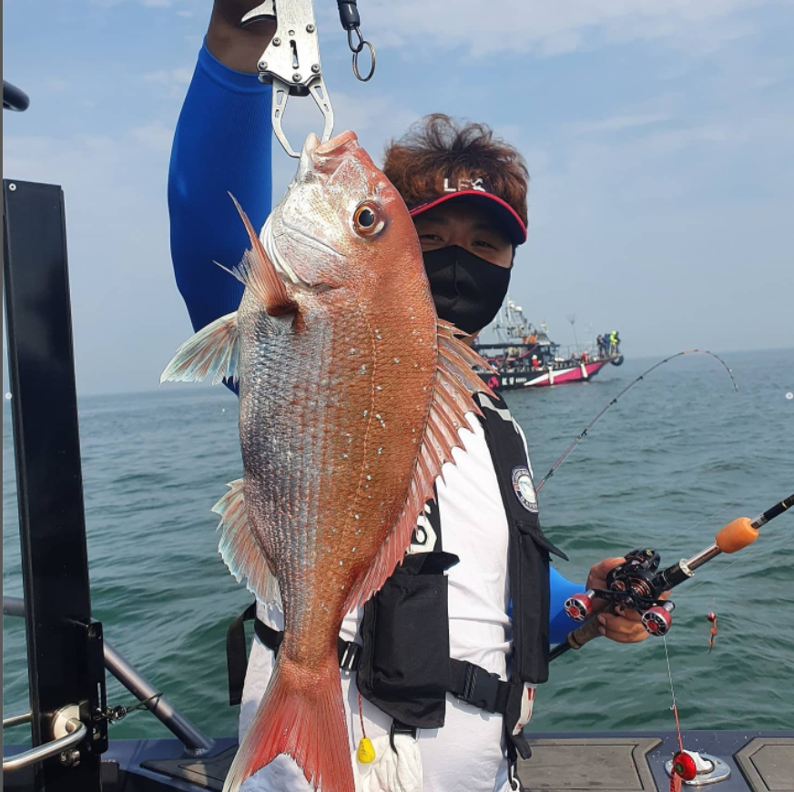 Selina_945's tweet photo. #E750 7.5m Easycraft Feedback! Good boat catches Big fish😄
Contact me if any interested. 
Selina Feng 
Whatsapp +86 15969878859
#aluminumboats #boatlife #easycraft #waterlife #fishinglife #fishing #boats #yacht #gospelboat #cheapboat #boatsfishing https://t.co/LUEZAHpbZr